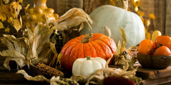 Pumpkins in autmnal display