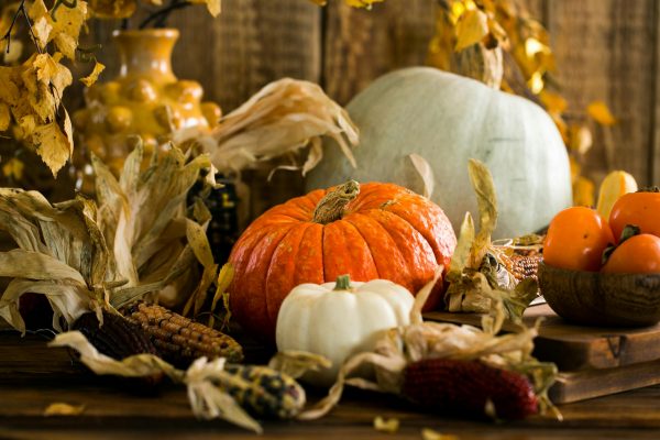 Pumpkins in autmnal display