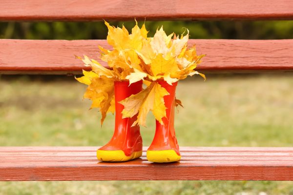 A pair of orange wellington boots with autumn leaves in on a park bench